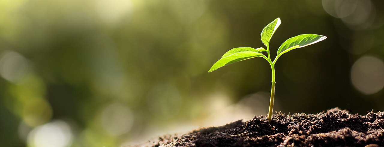 Preserve Our Planet